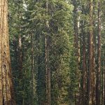 FTX’s $45M Sequoia Sale Cleared, as Embed Divestment Delayed