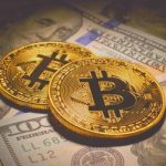 ¿Miami sigue siendo un hogar para las criptomonedas? Este informe dice que sí ¿Miami sigue siendo un hogar para las criptomonedas? Este informe dice que sí