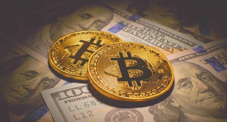 ¿Miami sigue siendo un hogar para las criptomonedas?  Este informe dice que sí
