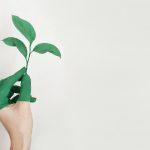 Top 5 Companies Pioneering Sustainable Bitcoin Mining