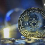 204 Billion ADA Moved by Large Cardano Holders Recently, Here's Why