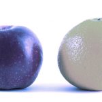 All Centralized Firms Are Alike—But Every DAO Is Decentralized in Its Own Way
