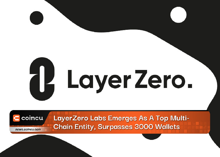 LayerZero Labs Emerges As A Top Multi-Chain Entity, Surpasses 3000 Wallets