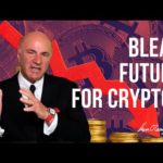 Aquí es donde todo el dinero fluye silenciosamente en el criptoespacio, según Kevin O'Leary, inversionista de Shark Tank