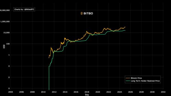 Новые покупки биткоинов долгосрочными держателями и FOMO позволяют сделать оптимистичный прогноз на 2025 год
