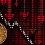 Михаэль ван де Поппе: Цена биткоина может упасть до $95 000