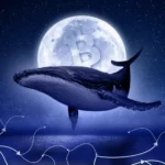 Аналитики зафиксировали рост доли «новых» китов на рынке биткоина