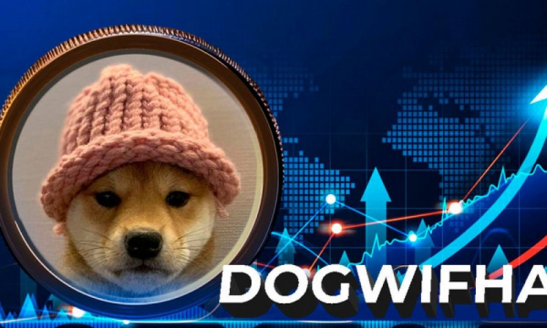 Аналитик прогнозирует цену Dogwifhat в 0,5 доллара, поскольку продавцы преодолели 11-месячный период накопления